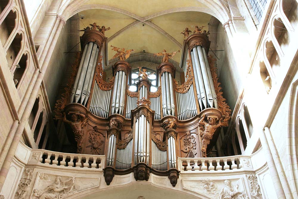 The organ