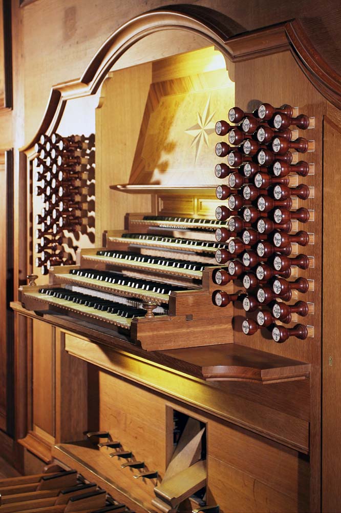 The organ